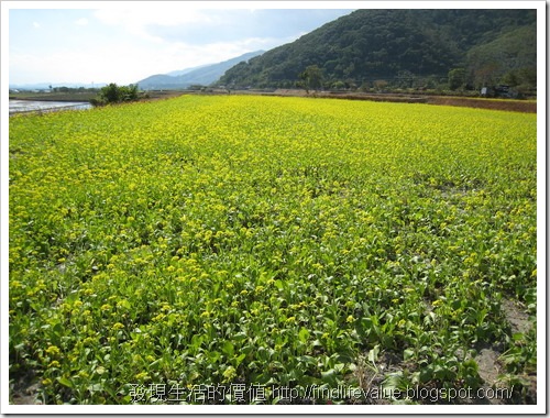 TaiTung_trip25