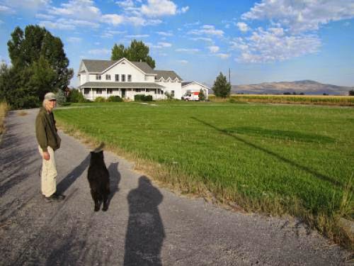 Wind Turbine Data Bats Solar Power For House A Lot Reduces Your Powerbills