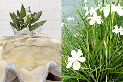 baptismal font and white flowers