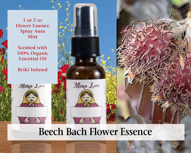 Beech Bach Flower Remedy Scented Spray