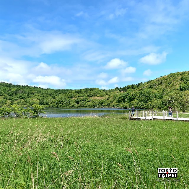 【利尻島】以利尻富士為中心的圓形秘境小島　欣賞山海湖融合而成的自然景觀