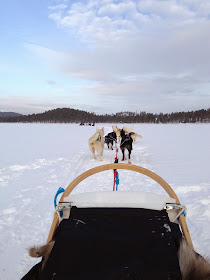 Husky Sled, Arctic Circle