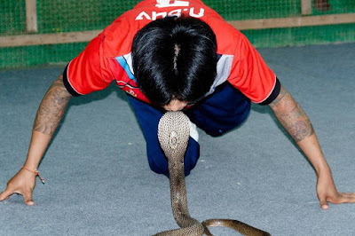 snake symbolism in yoga practise with photo