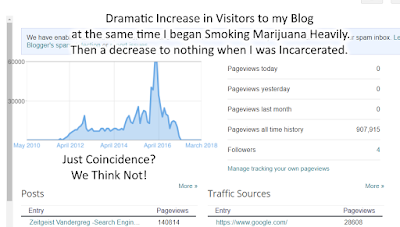 My Website Had a Mighty Increase in Traffic! and The Visitors Just Exploded When I was Smoking Marijuana!