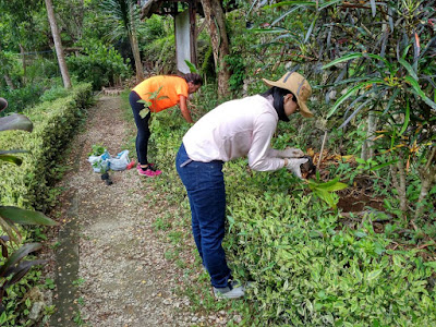 Patricia durante su voluntariado medioambiental en Bali.