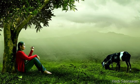 Apa Alasan Seseorang Mengklasifikasi Makhluk Hidup