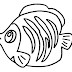 Desenho de peixe para colorir. Diversos desenhos para pintar