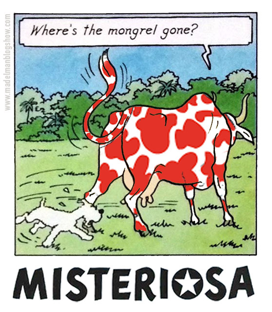 Tintin y la vaca misteriosa