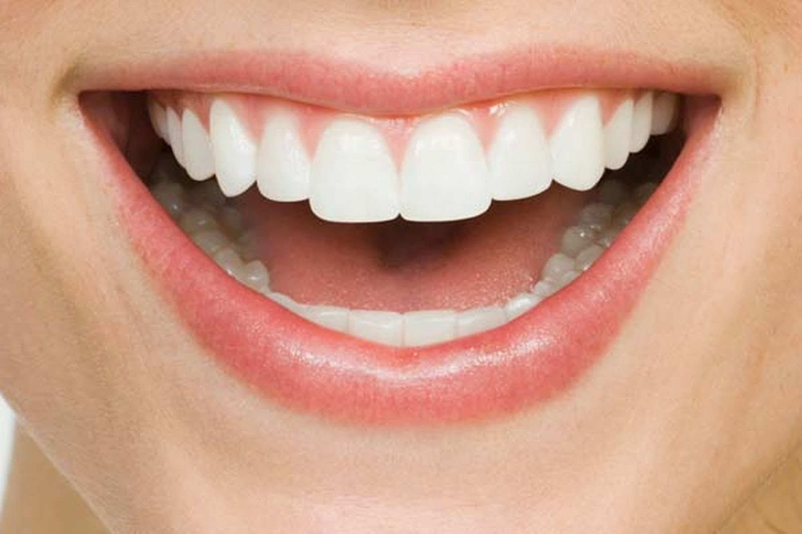Rahasia Jumlah Gigi  Manusia Untuk  Tangkal Penyakit 