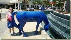 IMG_20180314_the blue horses of Oranjestad