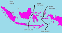 Wilayah persebaran fauna di Indonesia