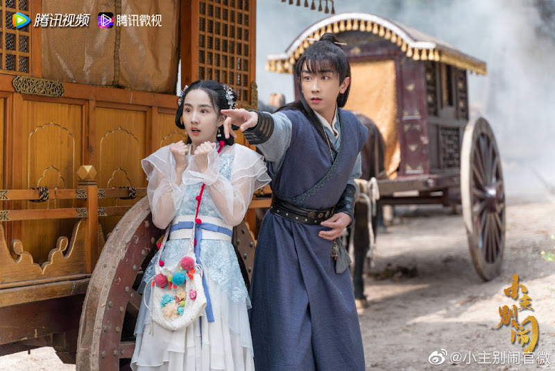 Little Lord, Don't Make Trouble China Web Drama