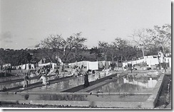 SCAN0432