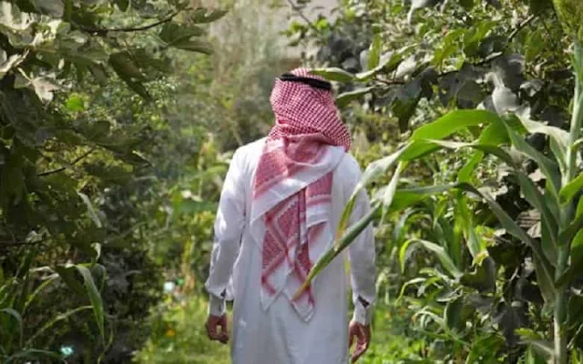 Saudi Arabia declares March 27 of every year as Saudi Green Initiative day - Saudi-Expatriates.com