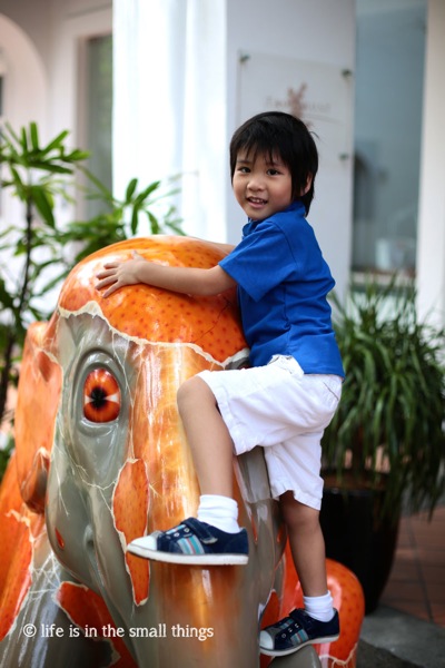 EllyCNY3