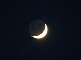 crescent Moon