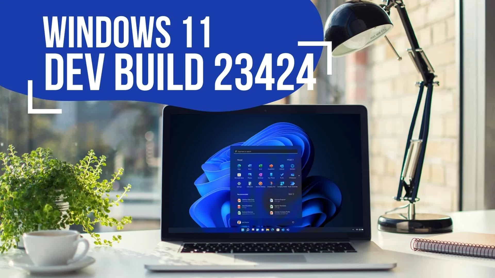 Windows 11 Dev Build 23424 brings larger canvas support to Widgets Board, CABC, and more