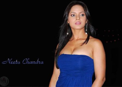 Neetu Chandra Hot Wallpapers