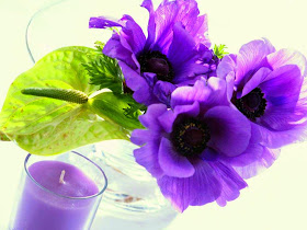 lovely-purpel-flowers-for-ur-luv