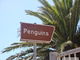 Boulders Beach