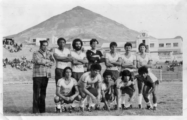 WISTERMAN COOPERATIVA en la liga PROFESIONAL DEL AÑO 1985
