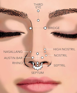 Jenis Menusuk Hidung & Panduan Perhiasan Hidung