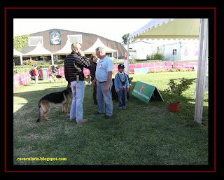 Lisbon and Mediterrânea dog show with our Aussies