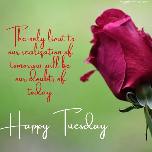 happy tuesday images