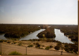 Cadiz, salt marsh