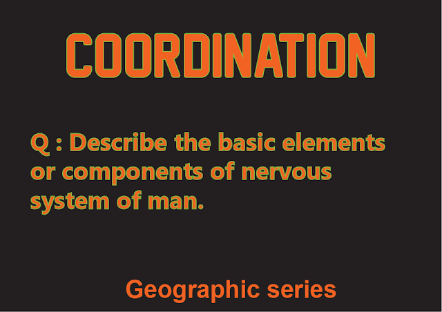 COORDINATION: NERVOUS SYSTEM OF MAN