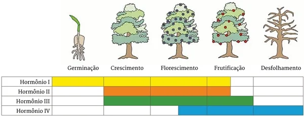 Germinação, Crescimento, Florescimento, Frutificação, Desfolhamento