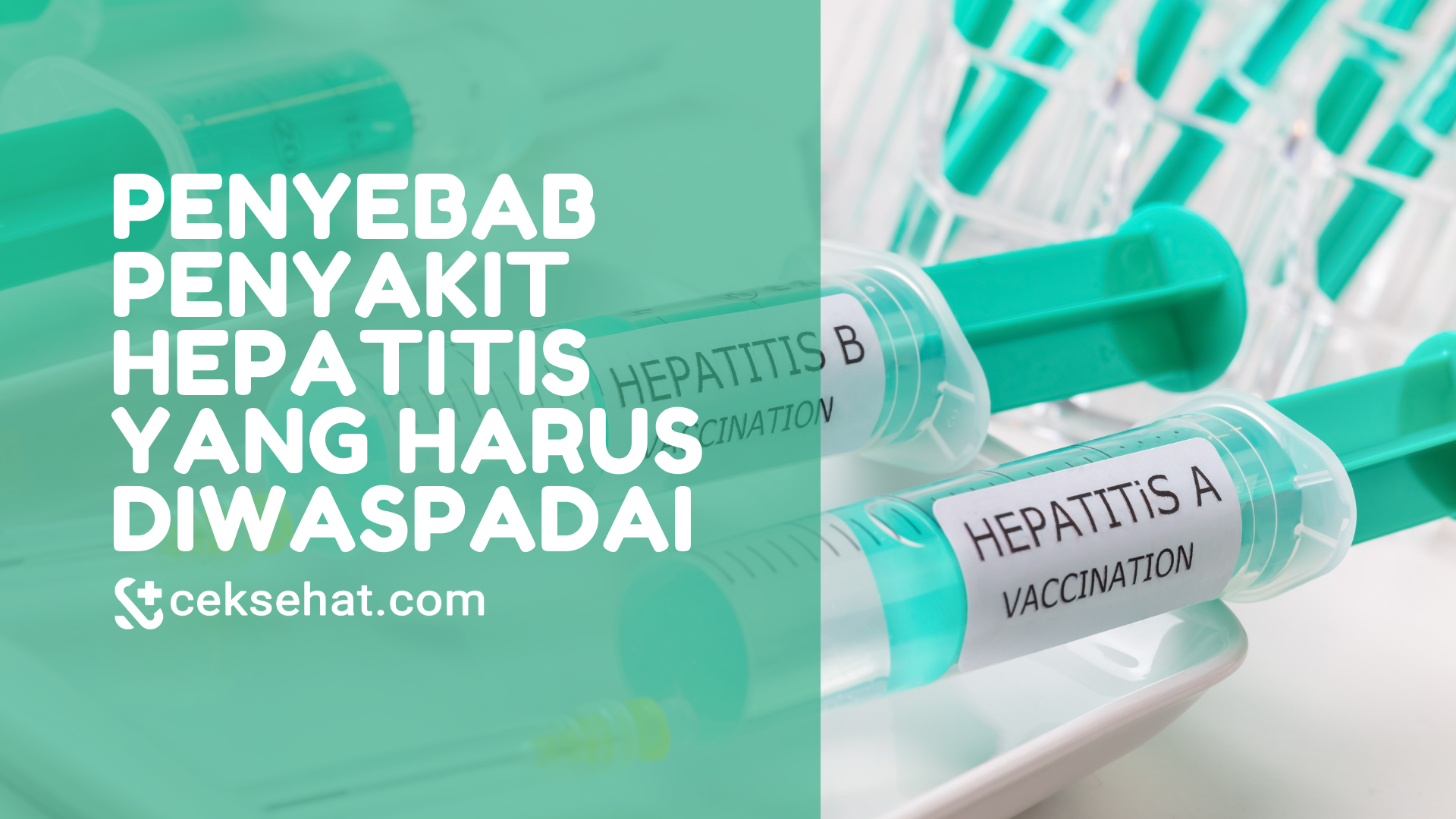 penyebab-penyakit-hepatitis-yang-harus-diwaspadai