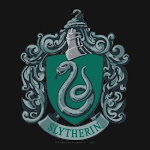 Slytherin Pride!