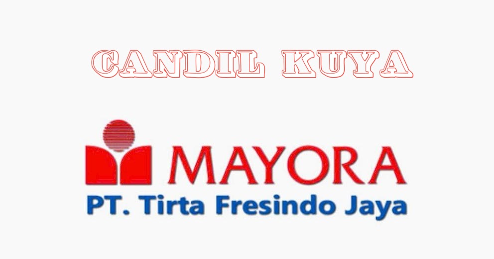 Lowongan  PT Tirta Fresindo Jaya (Mayora Group)