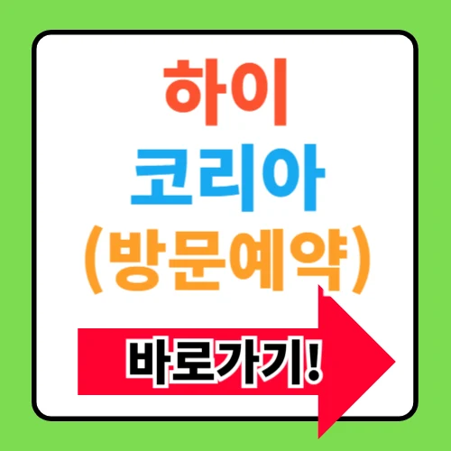 하이코리아 방문예약바로가기(https://www.hikorea.go.kr/)