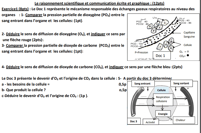 controle 2 semestre 1 svt 3ac