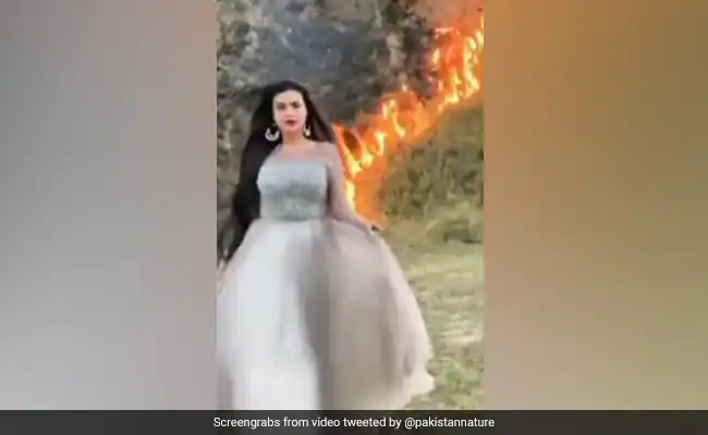 "Fire Wherever I'm": Pak TikTok Star Faces Backlash Over Forest Fire Clip