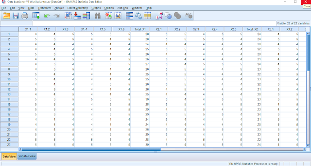 Tampilan data view SPSS yang sudah di input data kuesionernya