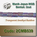 2CMB539 copy