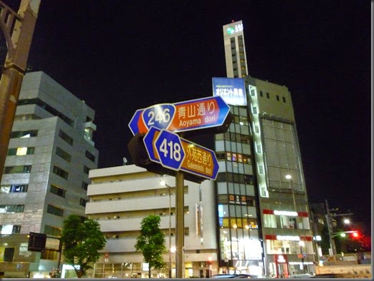 P1010165