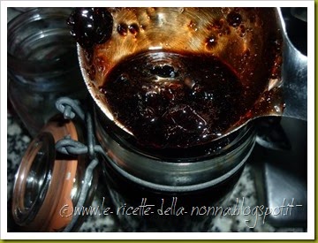 Marmellata di mirtilli (3)