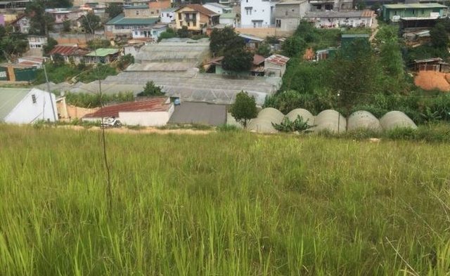 Kinh nghiệm tránh bẫy khi mua nhà đất lần đầu