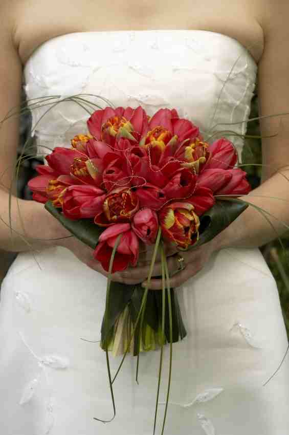 types of flowers in bouquets Tulip Wedding Bouquets | 565 x 850