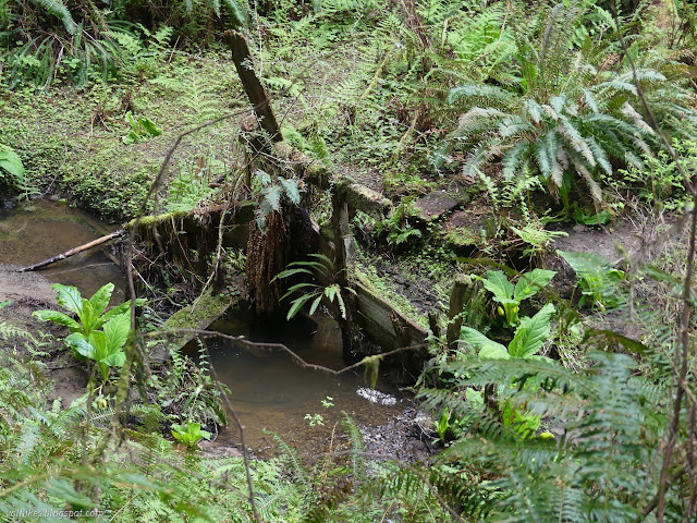 12: wooden fence in water