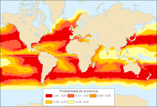 Ay balığı dağılım haritası