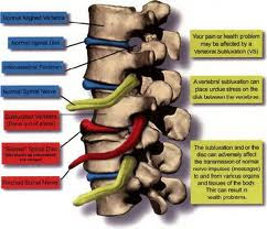 chiropractic