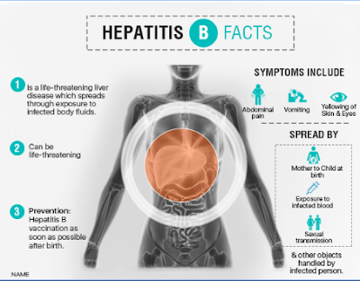 Hepatitis B, Gejala, Penyebab, Pengobatan & Pencegah Terlengkap