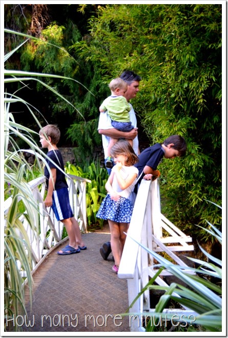 Royal Tasmanian Botanical Gardens ~ How Many More Minutes?