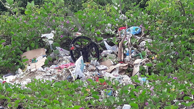 Moradores da praia da Andrezza reclamam do lixo acumulado e da ausência da coleta pública
