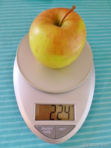 Jan 13 food scale 008